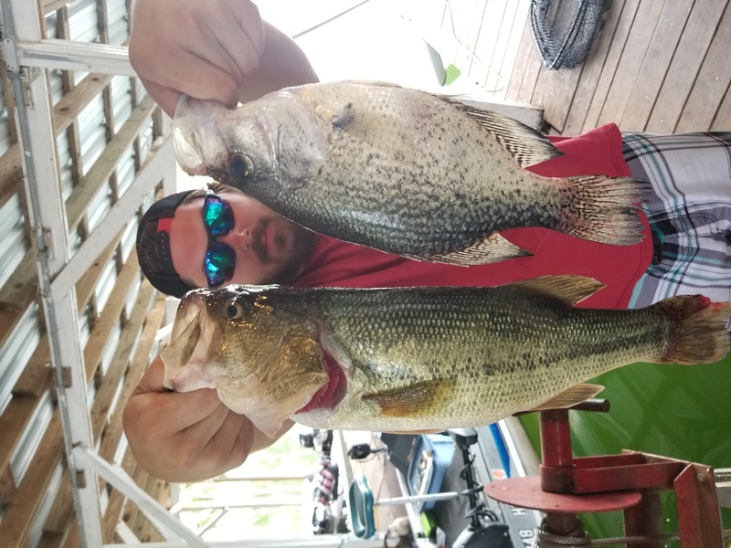 Norfork Lake Arkansas near Mountain Home in the Ozarks Mountains Region Fishing Report and Lake Conditions by Scuba Steve from Blackburns Resort and Boat Rental.