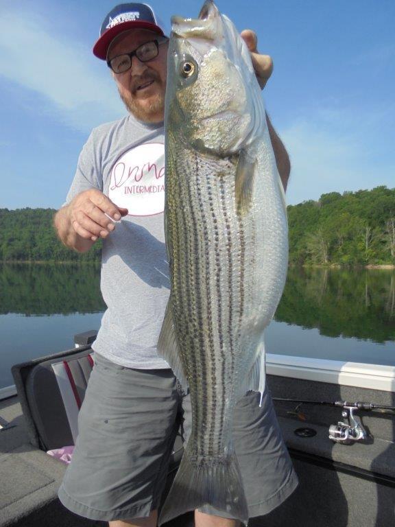 Norfork Lake Arkansas near Mountain Home in the Ozarks Mountains Region fishing report and lake condition by Scuba Steve from Blackburns Resort and Boat rental. 