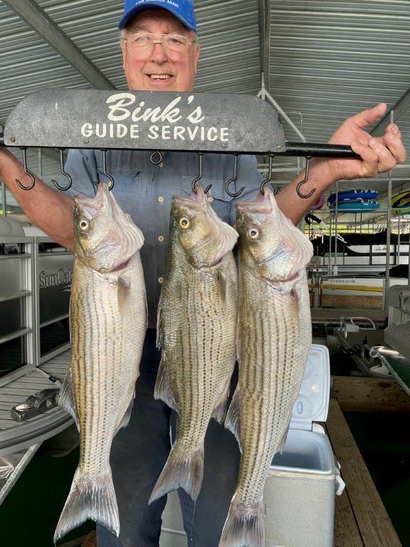 Norfork Lake Arkansas near Mountain Home in the Ozarks Mountains Fishing Report and Lake condition by Scuba Steve from Blackburns Resort and Boat Rental