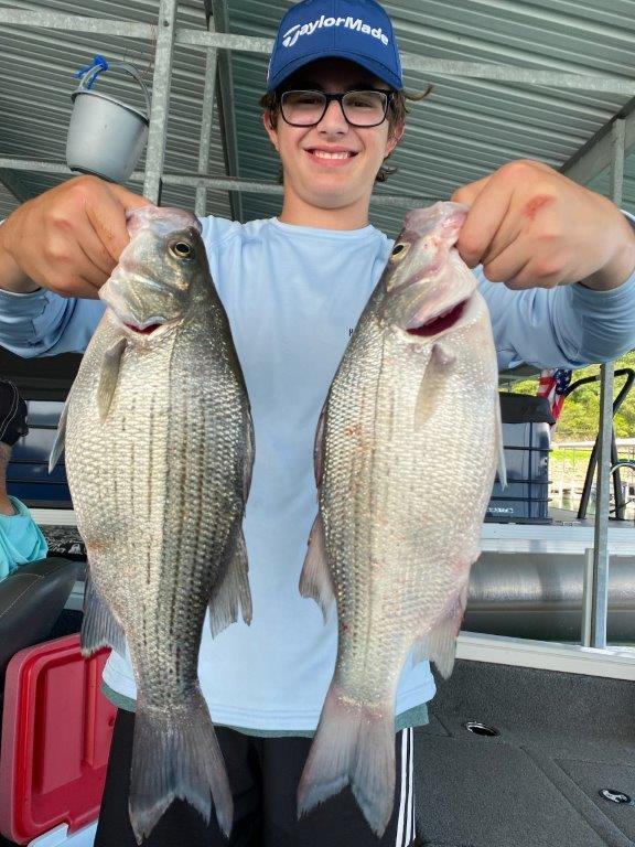 Norfork Lake Arkansas near Mountain Home in the Ozarks Mountains Region Fishing Report and Lake conditions by Scuba Steve from Blackburns Resort and Boat Rental. 