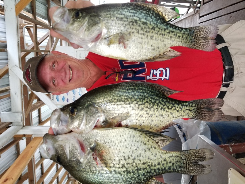 Norfork Lake Arkansas near Mountain Home in the Ozarks Mountains Region fishing report and lake conditions by Scuba Steve from Blackburns Resort and Boat Rental. 