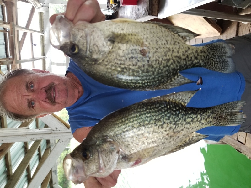 Norfork Lake Arkansas near Mountain Home in the Ozarks Mountains Region Fishing Report and Lake Condition by Scuba Steve from Blackburns resort and Boat Rental. 