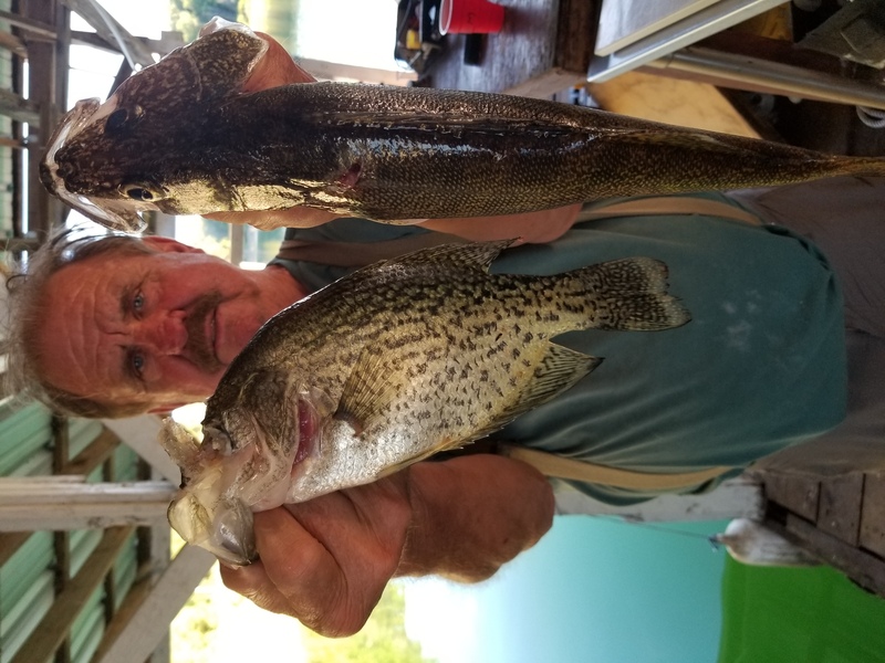 Norfork Lake Arkansas near Mountain Home in theOzarks Mountains region Fishing Report and Lake Condition by Scuba Steve from Blackburns Resort and Boat rental. 