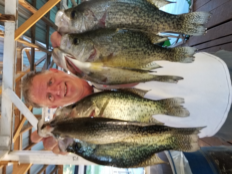 Norfork Lake Arkansas near Mountain Home in the Ozarks Mountains Region fishing report and lake condition by Scuba Steve from Blackburns Resort and Boat rental. 