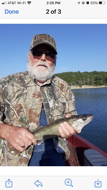 Norfork Lake Arkansas near Mountain Home in the Ozarks Mountains Region Fishing Report and Lake Conditions by Scuba Steve from Blackburns Resort and Boat Rental. 