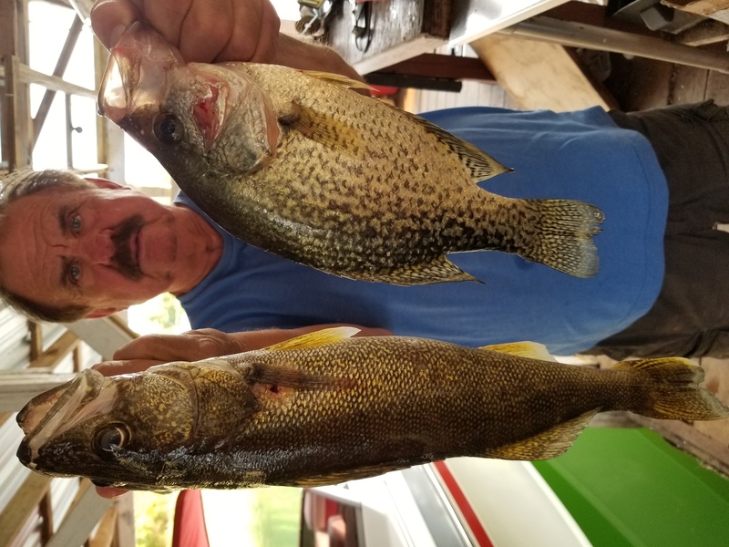 Norfork Lake Arkansas near Mountain Home in the Ozarks Mountains Region fishing report, lake condition and fall foliage report by Scuba Steve from Blackburns Resort and Boat Rental