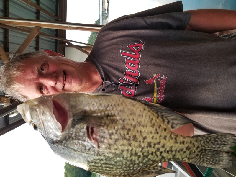Norfork Lake Arkansas near Mountain Home in the Ozarks Mountains Region fishing report and lake condition by Scuba Steve from Blackburns Resort and Boat Rental.