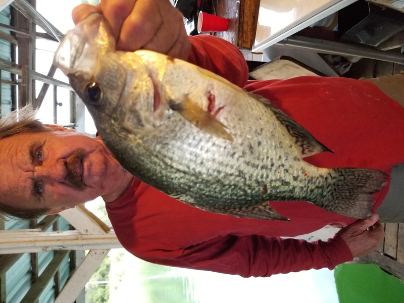 Norfork Lake Arkansas near Mountain Home in the Ozarks Mountains Region fishing report an lake condition by Scuba Steve from Blackburns Resort and Boat Rental
