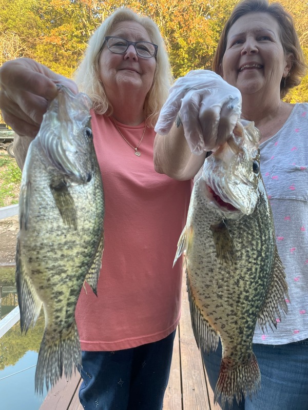 Norfork Lake Arkansas near Mountain Home in the Ozarks Mountains Region fishing report, lake condition and fall foliage report by Scuba Steve from Blackburns Resort and Boat Rental. 