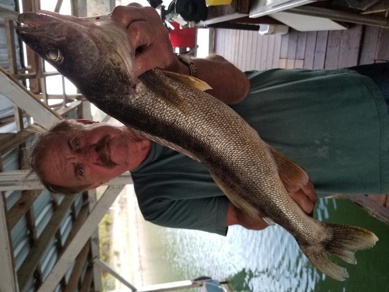 Norfork Lake Arkansas near Mountain Home in the Ozarks Mountains Region Fishing Report and Lake Condition by Scuba Steve from Blackburns Resort and Boat Rental. 