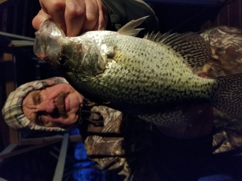 Norfork Lake Arkansas near Mountain Home in the Ozarks Mountains Region Fishing Report and Lake Condition by Scuba Steve from Blackburns Resort and Boat Rental 