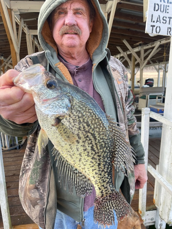 Norfork Lake Arkansas near Mountain Home in The Ozarks Mountains region Fishing Report and Lake Condition by Scuba Steve from Blackburns Resort and Boat Rental.