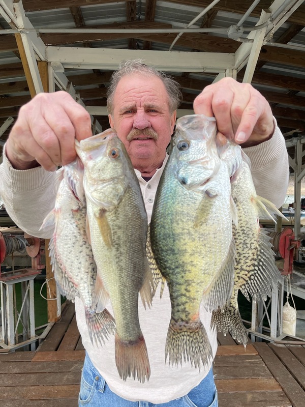 Norfork Lake Arkansas near Mountain Home in the Ozarks Mountains Region Fishing Report and Lake Conditions by Scuba Steve from Blackburns Resort and Boat Rental. 
