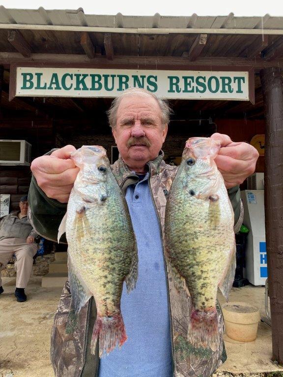 Norfork Lake Arkansas near Mountain Home in the Ozarks Mountains Region Fishing Report and Lake Condition by Scuba Steve from Blackburns Resort and Boat Rental.