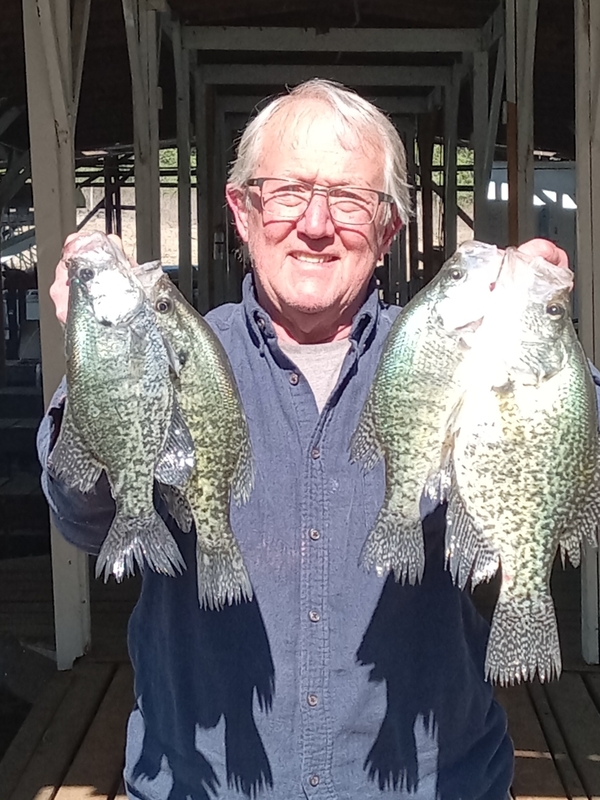 NNorfork Lake Arkansas near Mountain Home in the Ozarks Mountains Region Fishing Report and Lake Condition by Scuba Steve from Blackburns Resort and Boat Rental