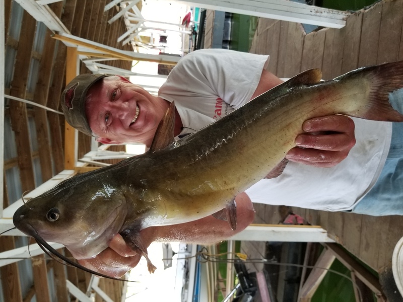 Norfork Lake Arkansas near Mountain Home in the Ozarks Mountains Region Fishing report and Lake Condition by Scuba Steve from Blackburns Resort and Boat Rental. 