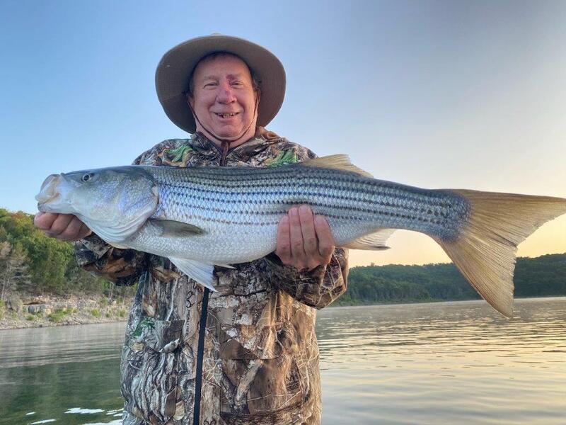 Norfork Lake Arkansas near Mountain Home in the Ozarks Mountains Region fishing report and lake condition by Scuba Steve from Blackburns Resort and Boat Rental. 