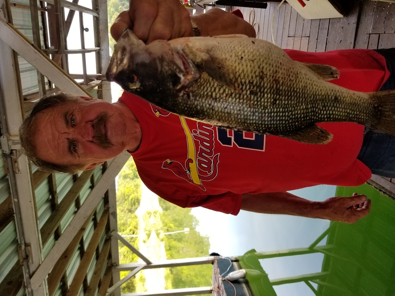 Norfork Lake Arkansas near Mountain Home in the Ozarks Mountains region fishing report and lake conditions by Scuba Steve from Blackburns Resort and Boat Rental. 