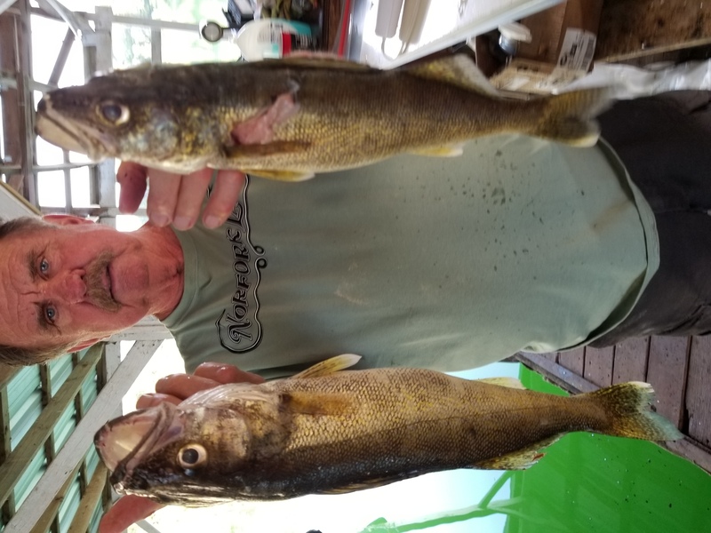 Norfork Lake Arkansas near Mountain Home in the Ozarks Mountains Region Fishing Report and Lake condition by Scuba Steve from Blackburns Resort and Boat Rental. 