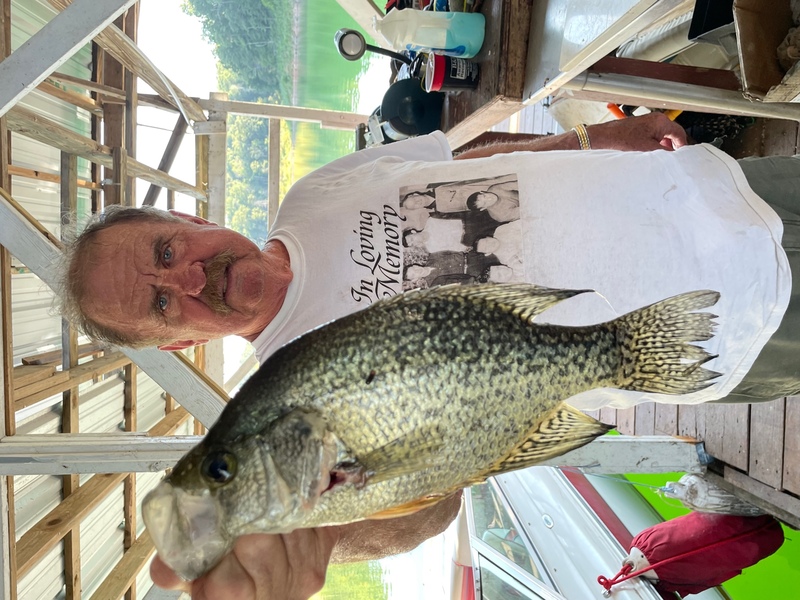 Norfork Lake Arkansas near Mountain Home in the Ozaerks Mountains region Fishing Report and Lake Condition by Scuba Steve from Blackburns Resort and Boat Rental. 