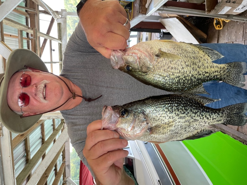 Norfork Lake Arkansas near Mountain Home in the Ozarks Mountains Region fishing report and Lake Condition by Scuba Steve from Blackburns Resort and Boat Rental. 