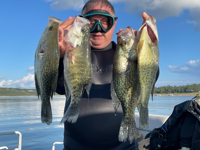 Norfork Lake arkansas in the Ozarks Mountains region Fishing Report and lake conditions by Scuba Steve from Blackburns Resort and Boat Rental. 