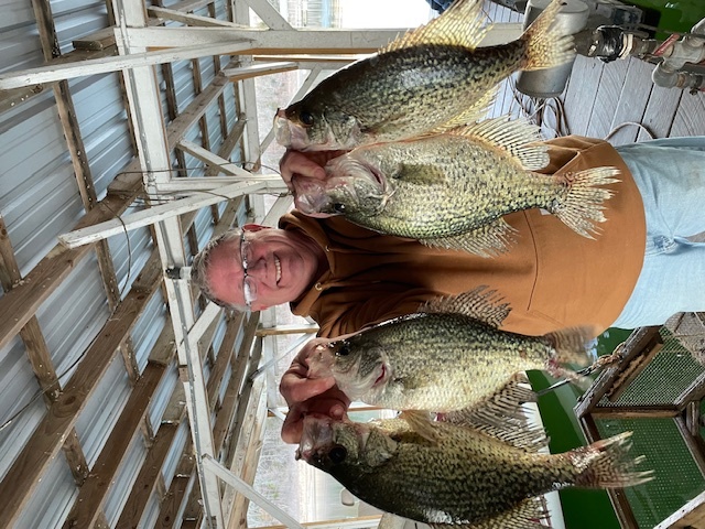 Norfork Lake Arkansas near Mountain Home in the Ozarks Mountains Region Fishing Report and Lake Condition by Scuba Steve from Blackburns Resort and Boat Rental.  