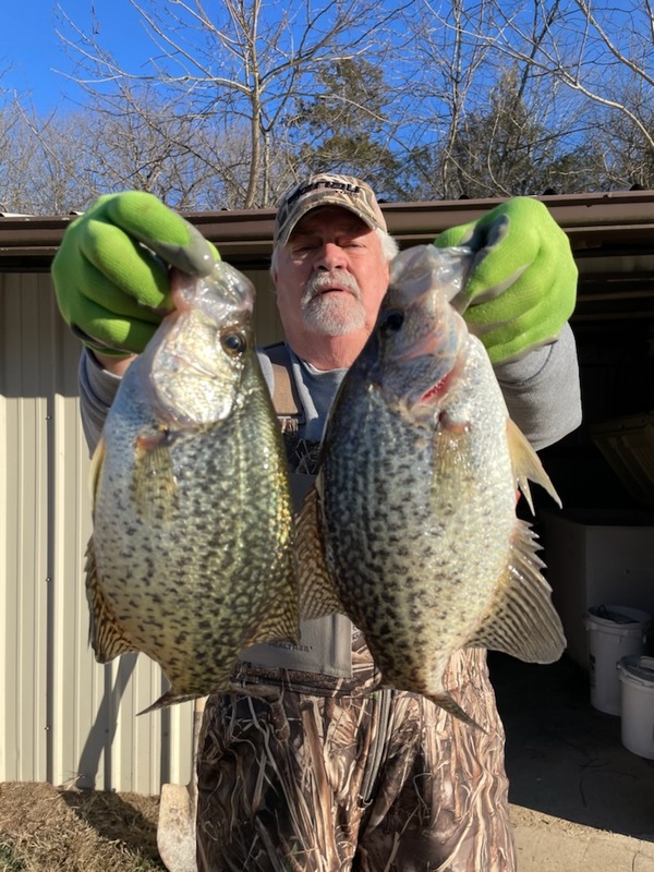 Norfork Lake Arkansas near Mountain Home in the Ozarks Mountains Region Fishing Report and Lake Condition by Scuba Steve from Blackburns Resort and Boat Rental