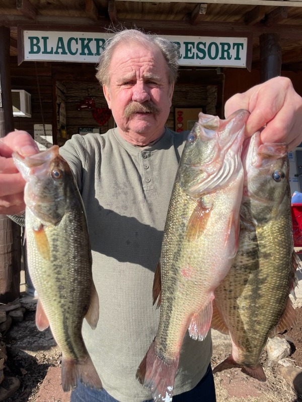 NNorfork Lake Arkansas near Mountain Home in the Ozarks Mountains Fishing Report and Lake Conditions by Scuba Steve from Blackburns Resort and Boat Rental. 