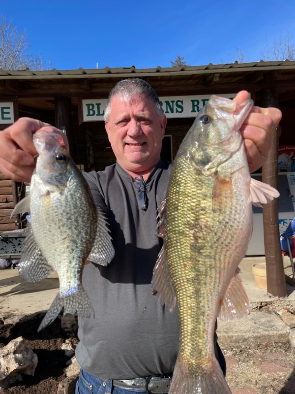 Norfork Lake Arkansas near Mountain Home in the Ozarks Mountains Region Fishing Report and Lake Condition by Scuba Steve from Blackburns Resort and Boat Rental. 