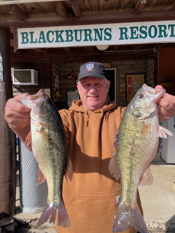 Norfork lake Arkansas near Mountain Home in the Ozarks Mountains Region Fishing Report and Lake Condition and Fishing Report by Scuba Steve from Blackburns Resort and Boat Rental. 