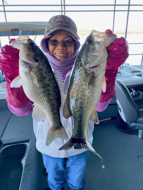 Norfork Lake Arkansas near Mountain Home in the Ozarks Mountains Region Fishing Report and lake Condition by Scuba Steve from Blackburns Resort and Boat Rental. 
