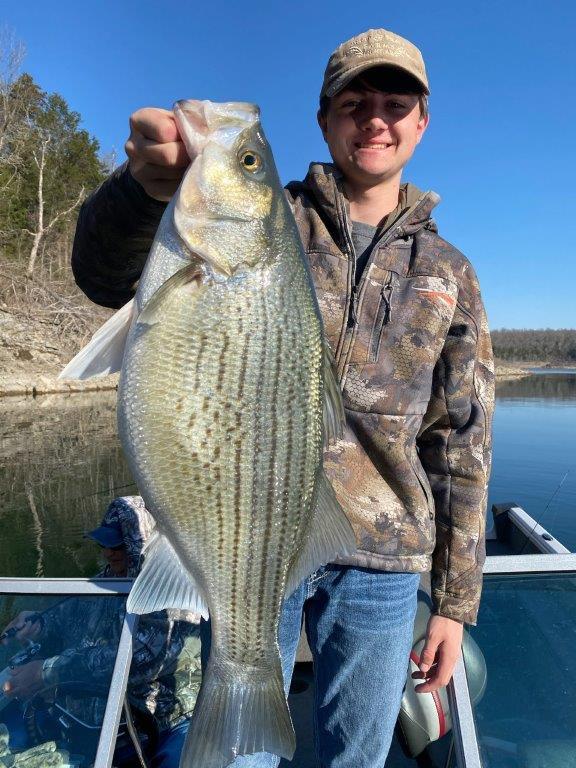 Norfork Lake Arkansas Near Mountain Home in the Ozarks Mountains Region Fishing Report and Lake Condition By Scuba Steve from Blackburns  Resort and Boar Rental. 