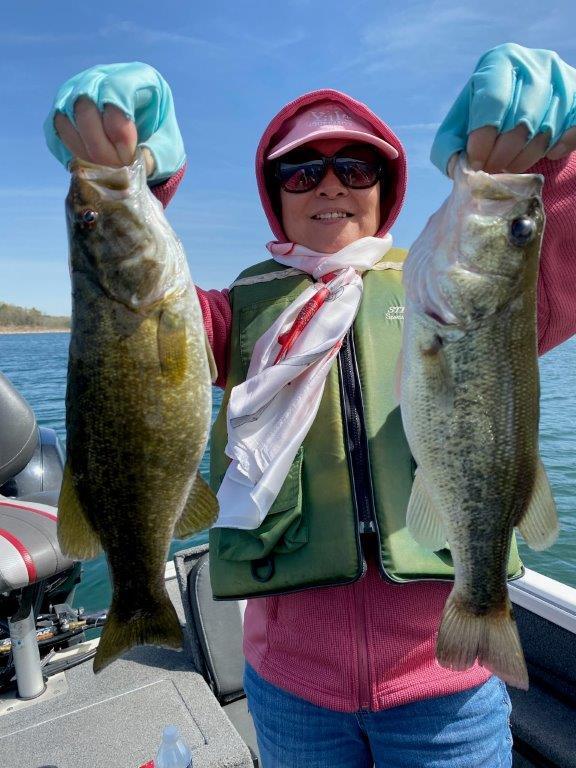 Norfork Lake Arkansas near Mountain Home in the Ozarks Mountains region Fishing Report and lake Condition by Scuba Steve from Blackburns Resort and Boat Rental. 