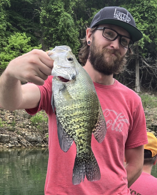 Norfork Lake Arkansas near Mountain Home in the Ozarks Mountains Region Fishing Report and Lake Condition by Scuba Steve from Blackburns Resort and Boat Rental. 