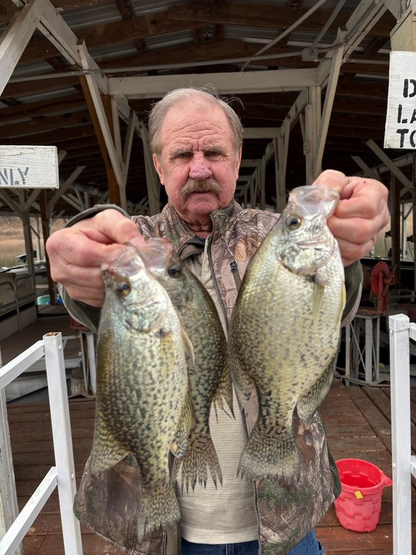 Norfork Lake Arkansas near Mountain Home in the Ozarks Mountains Region Fishing Report and Lake Condition by Scuba Steve from Blackburns Resort and Boat Rental. 