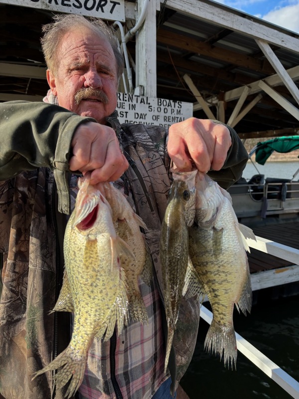 Norfork Lake Arkansas near Mountain Home in the Ozarks Mountains Region Fishing Report and Lake Condition by Scuba Steve from Blackburns Resort and Boat Rental. 