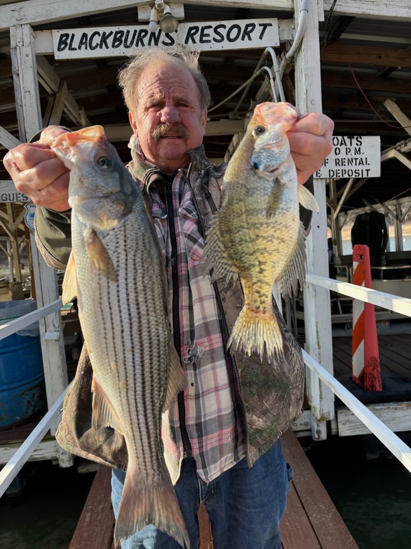 Norfork Lake Arkansas near Mountain Home in the Ozarks Mountains Region fishing report and lake condition by Scuba Steve from Blackburns Resort and Boat Rental. 