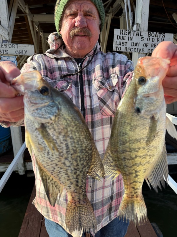 Norfork lake Arkansas near Mountain Home in the Ozarks Mountains Region fishing report and lake condition by Scuba Steve from Blackburns Resort and Boat Rental. 