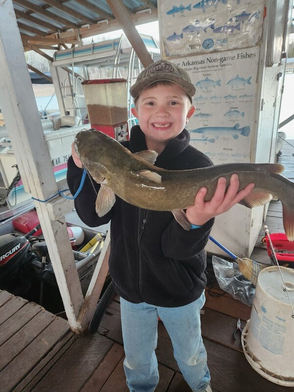 Norfork Lake Arkansas near Mountain Home in the Ozarks Mountains Region fishing report and lake condition by Scuba Steve from Blackburns Resort and Boat Rental. 