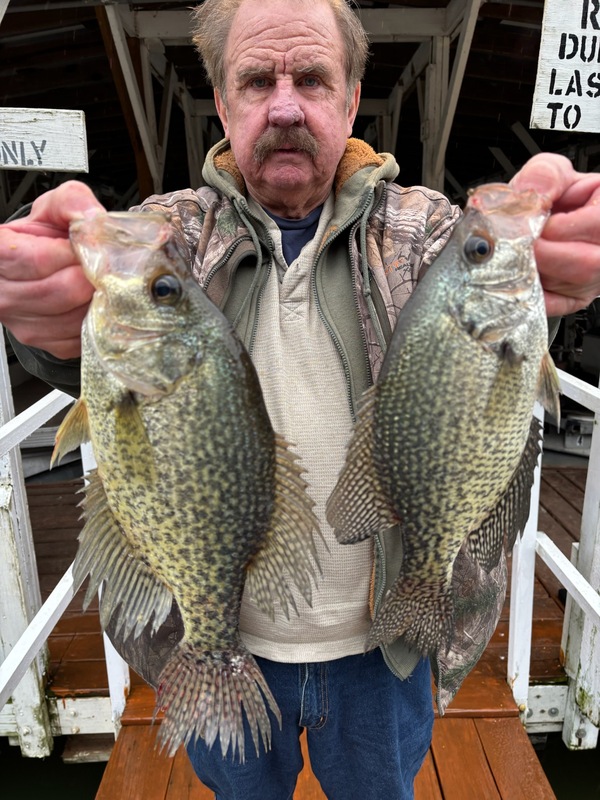 Norfork Lake Arkansas near Mountain Home in the Ozarks Mountains region Fishing Report and Lake Condition by Scuba Steve from Blackburns Resort and Boat Rental. 