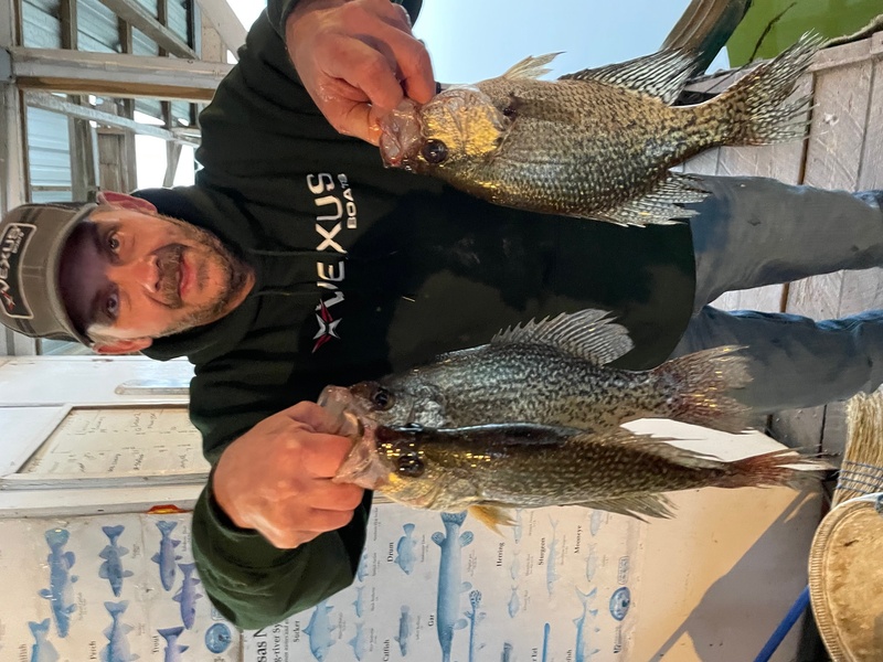 Norfork Lake Arkansas near Mountain Home in the Ozarks Mountains Region Fishing Report and Lake Condition by Scuba Steve from Blackburns Resort and Boat Rental. 