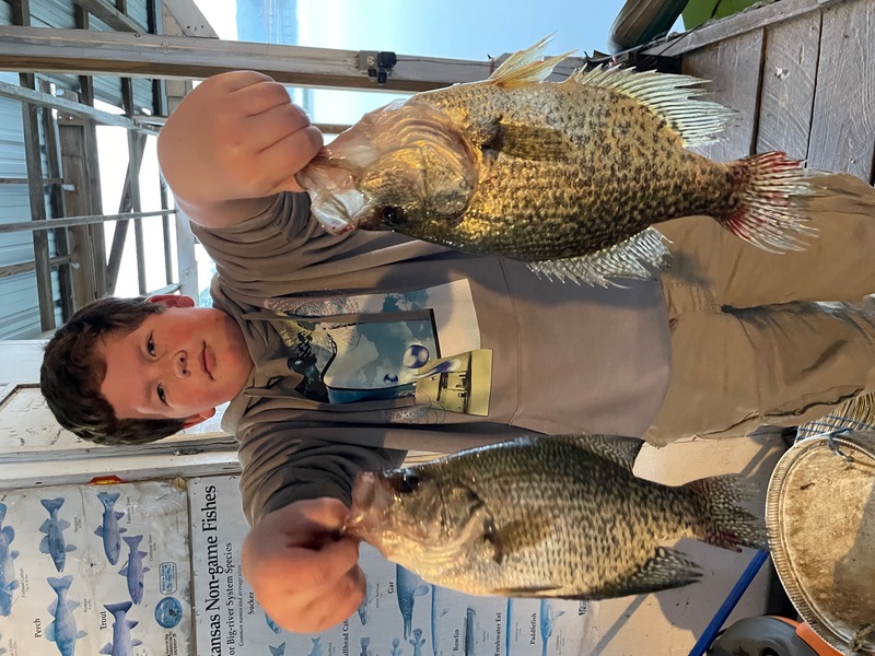 Norfork lake Arkansas near Mountain Home in the Ozarks Mountains Region Fishing Report and Lake Conditions by Scuba Steve from Blackburns Resort and Boat Rental. 