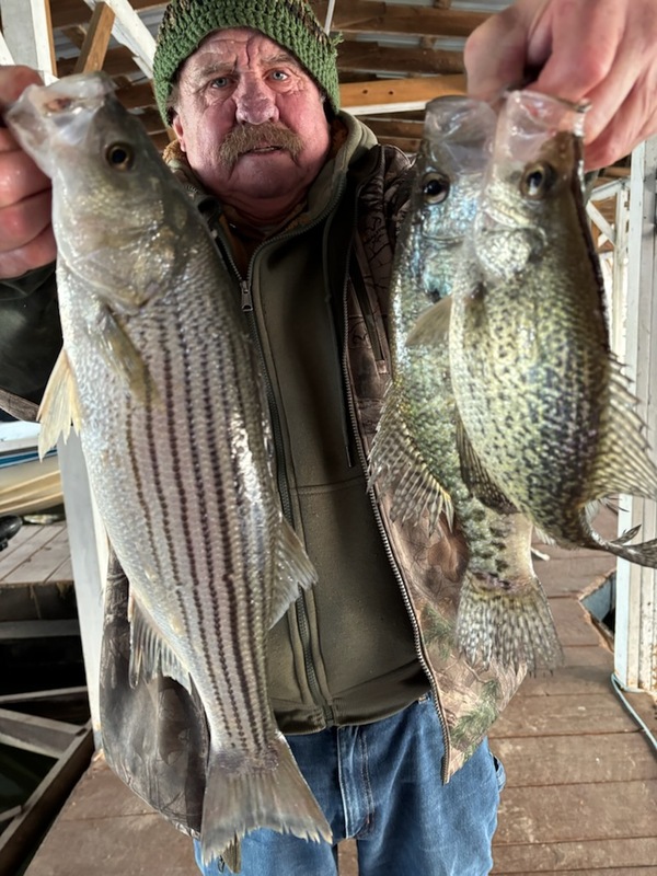 Norfork Lake Arkansas near Mountain Home in the Ozarks Mountains Region Fishing Report and lake condition by Scuba Steve from Blackburns Resort and Boat Rental. 