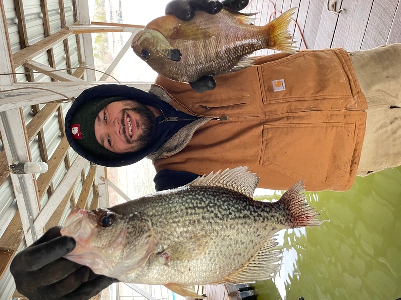 Norfork lake Arkansas near Mountain Home in the Ozarks Mountains Region Fishing Report and lake Condition by Scuba Steve from Blackburns Resort and Boat Rental. 