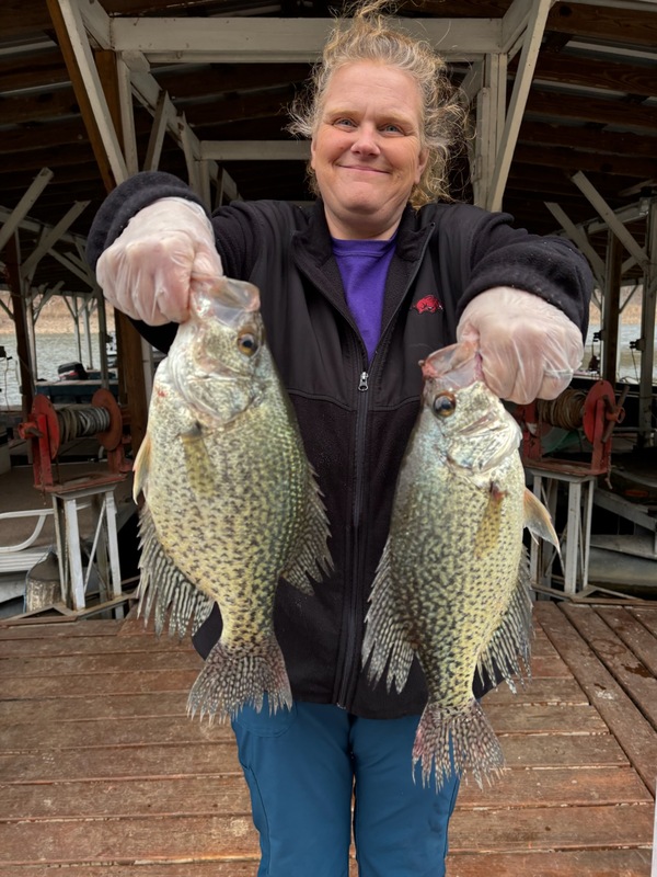 Norfork Lake Arkansas near Mountain Home in the Ozarks Mountains Region fishing Report and Lake Condition by Scuba Steve from Blackburns Resort and Boat Rental