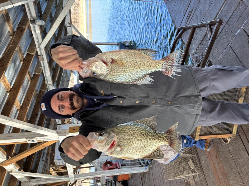 Norfork Lake Arkansas Near Mountain Home in the Ozarks Mountains Region fishing report and lake condition by Scuba sSeve from Blackburns Resort and Boat Rental.  