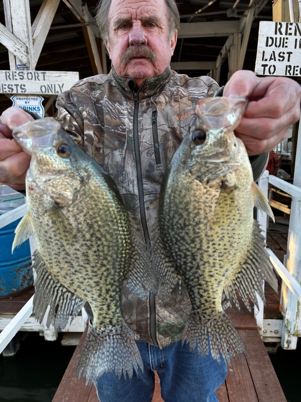 Norfork lake Arkansas near Mountain Home in the Ozarks Mountains Region fishing report and lake condition by Scuba Steve from Blackburns Resort and Boat Rental. 