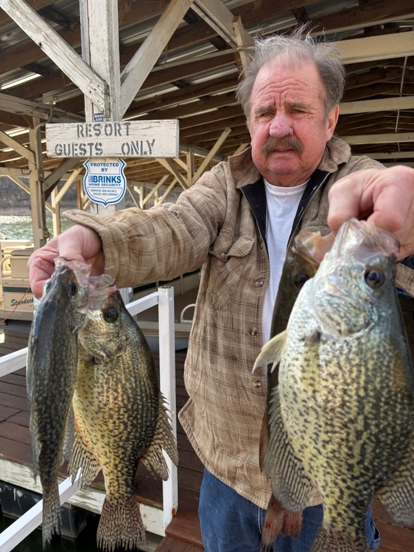 Norfork lake Arkansas near Mountain Home in the Ozarks Mountains region Fishing Report and Lake Condition by Scuba Steve from Blackburns Resort and Boat Rental. 