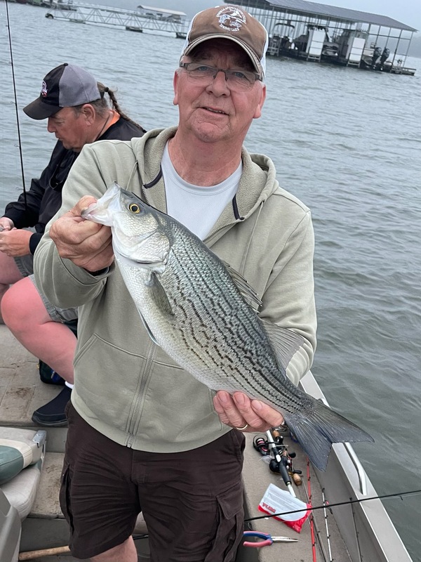 Tom Davis with a good one released. Nice fellow and a good friend.
